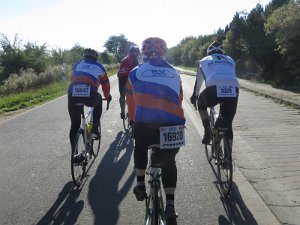 RTF Almabtrieb 098